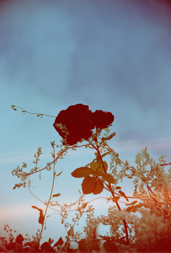 Sample photo 2