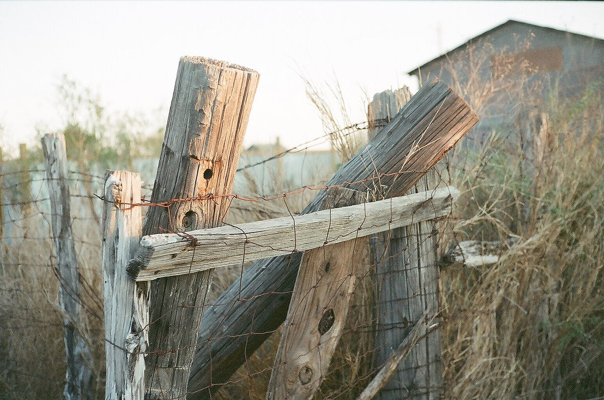 Kodak High Definition 400で撮影された写真