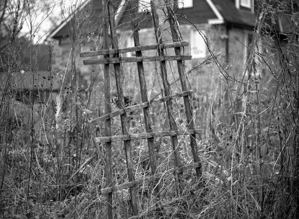 Fujifilm NEOPAN 100 ACROS IIで撮影された写真