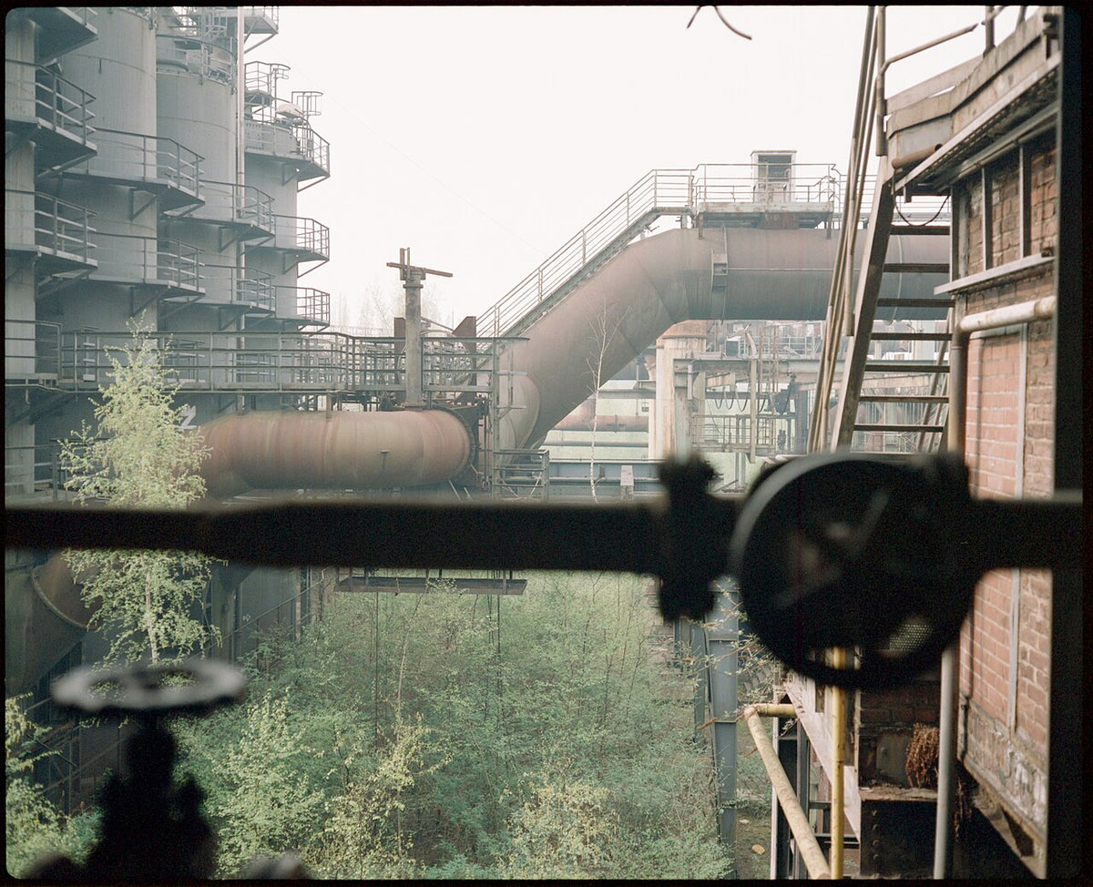 AGFA Portrait 160で撮影された写真