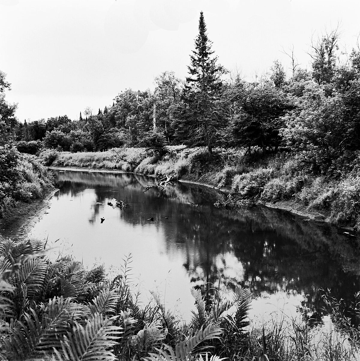 Rollei RPX 100で撮影された写真
