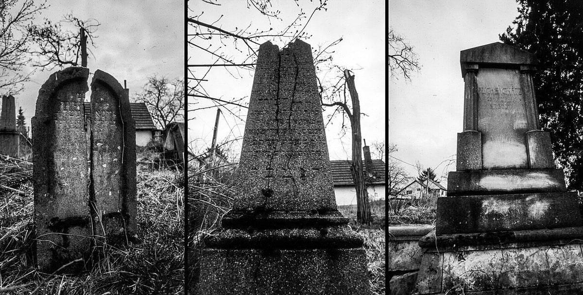 FOMA FOMAPAN R 100で撮影された写真