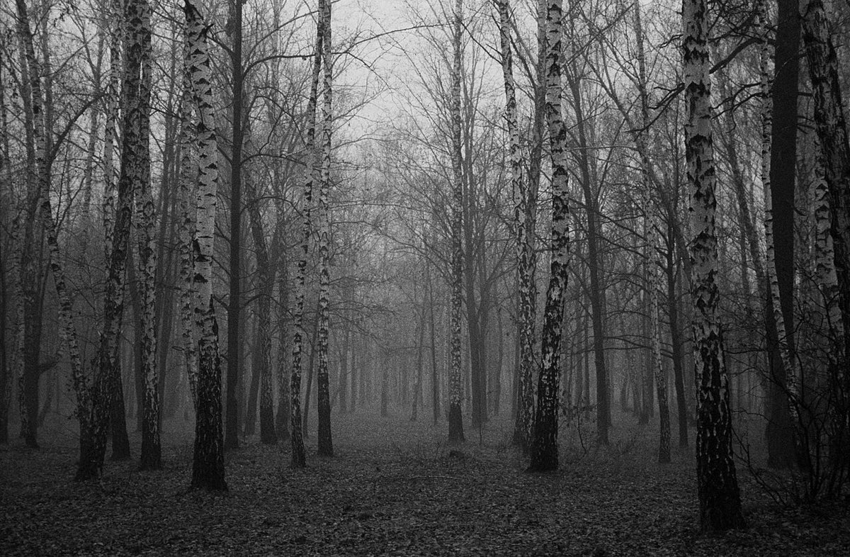 Bergger PANCRO 400で撮影された写真