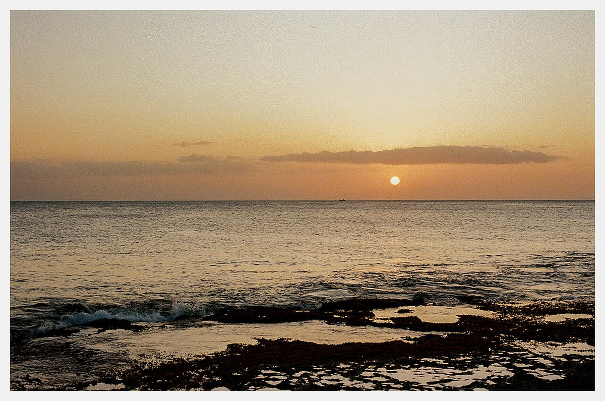 Lomography Color Negative 100で撮影された写真
