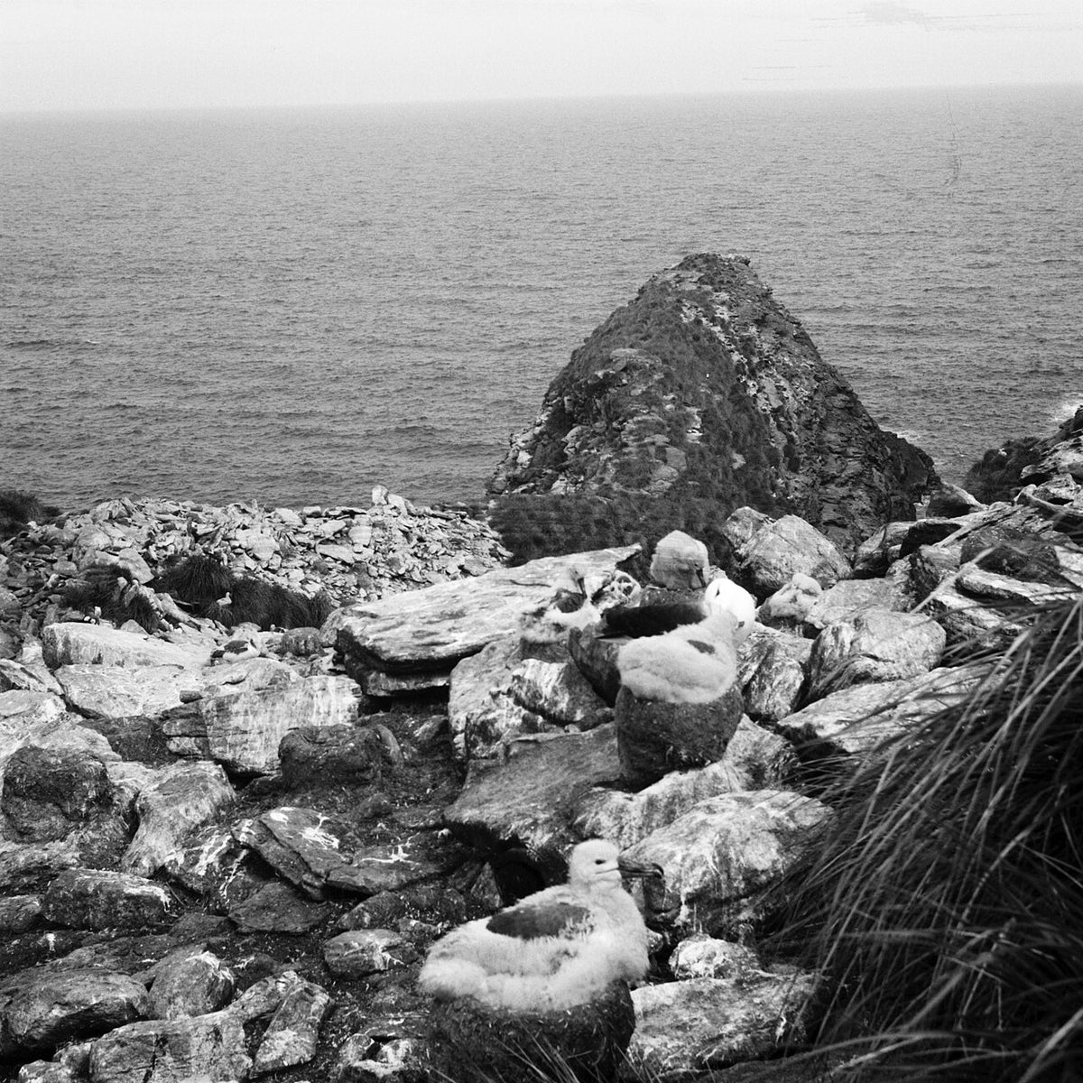 Lomography Potsdam Kino 100で撮影された写真