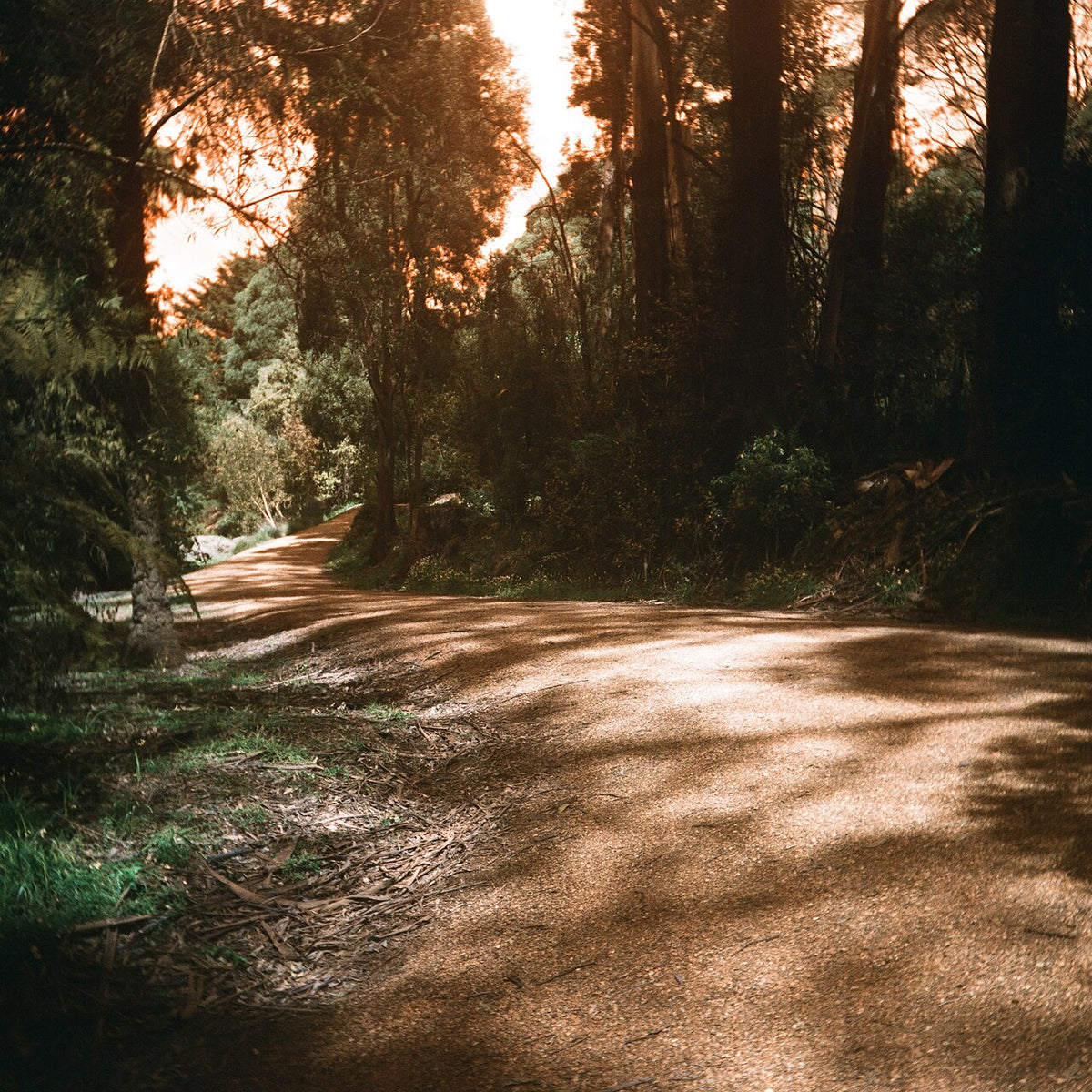 Lomography LomoChrome Turquoiseで撮影された写真