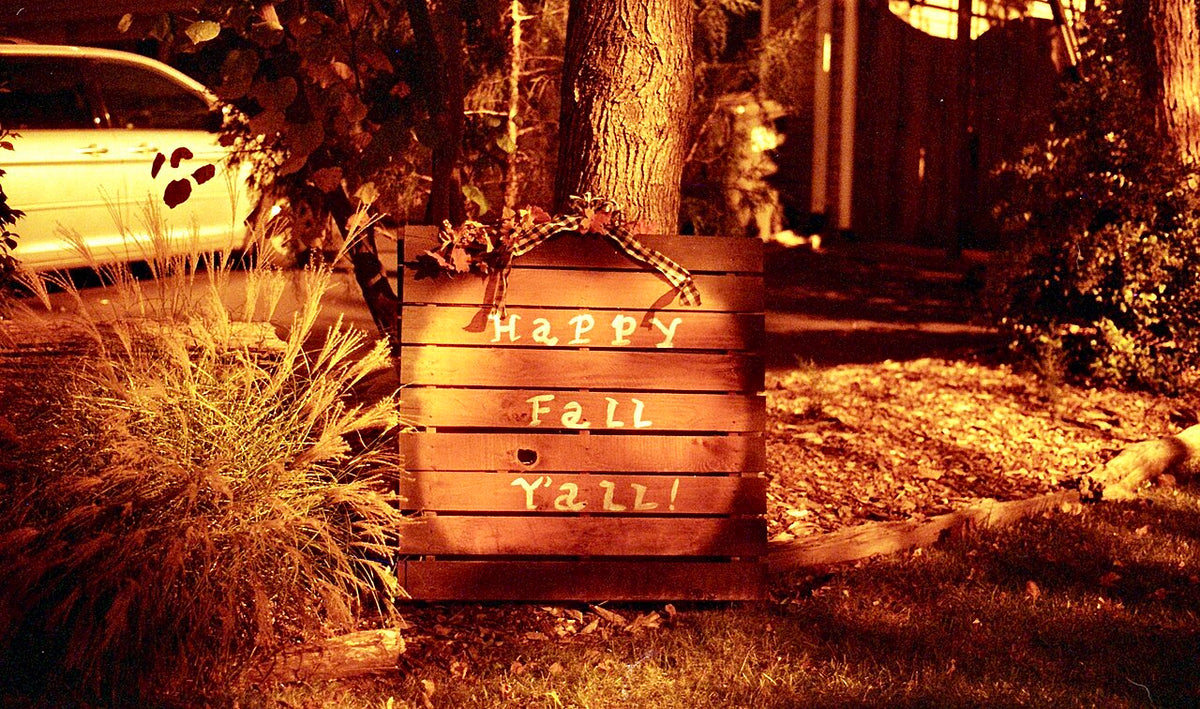 Lomography Redscale XR 50-200で撮影された写真
