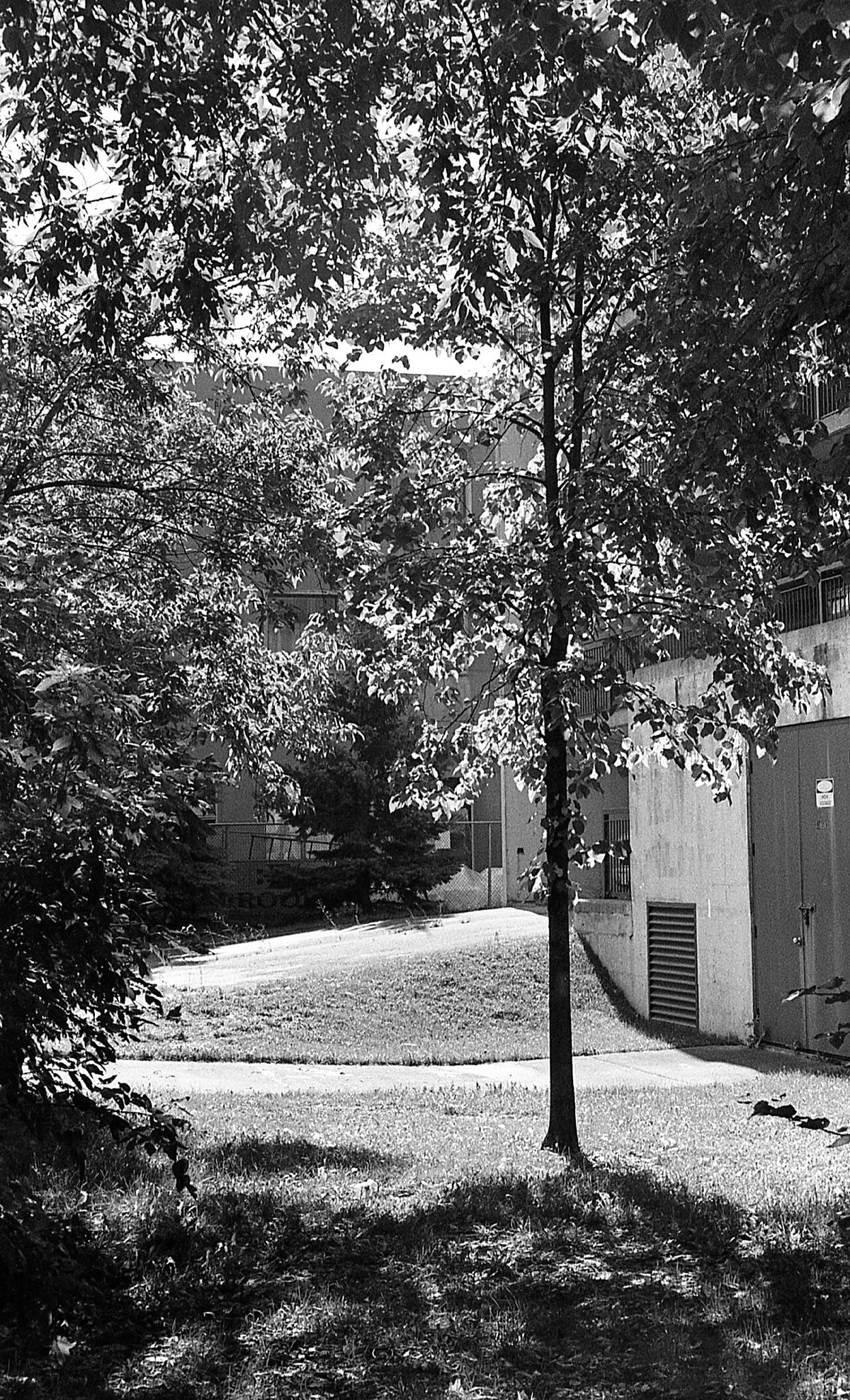 Kodak TRI-X 400で撮影された写真