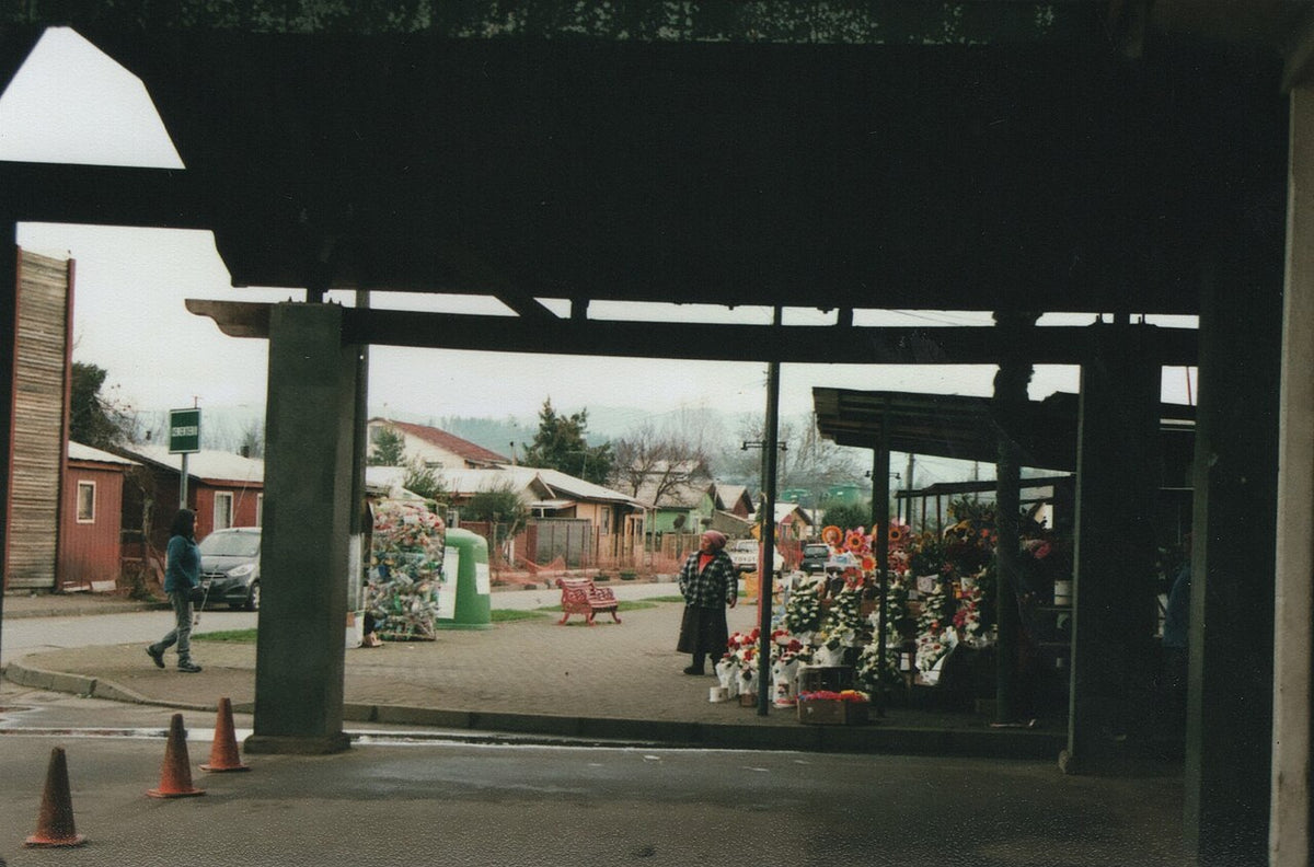 Fujifilm C200で撮影された写真