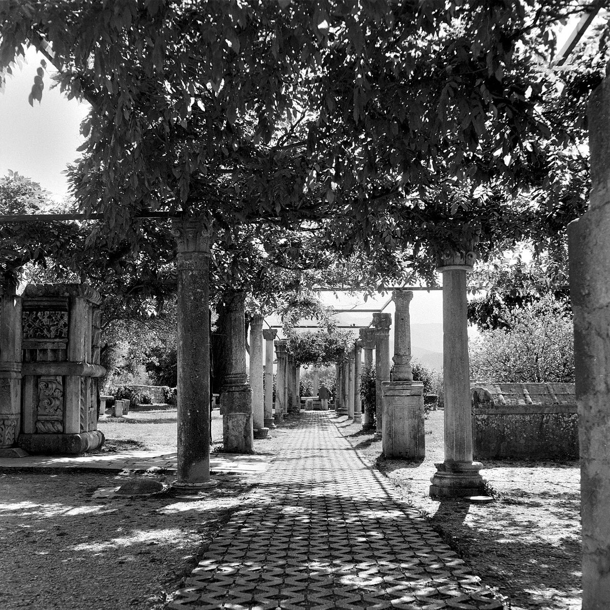 ADOX CHS 100 IIで撮影された写真