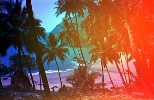 Sample photo 2